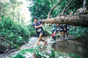 BIB: 
                            <button type="button" onclick="openModal(25444195)" class="btn btn-primary btn-sm float-right btn-popup" data-toggle="modal" data-target=".modal-high-quality">
                        <i class="fas fa-shopping-cart"></i> Add to Cart
                    </button>
                                            <button type="button" onclick="isThisMe(25444195, true)" class="btn btn-success btn-sm float-right btn-popup btn-isme hidden" data-toggle="tooltip" data-placement="bottom" title="นี่คือรูปของคุณใช่ไหม คลิกที่นี่เพื่อเอาเข้าอัลบั้ม">
                        <i class="fas fa-plus"></i> Add to album
                    </button>
                    <button type="button" onclick="isThisMe(25444195, false)" class="btn btn-warning btn-sm float-right btn-popup btn-isnotme hidden">
                        <i class="fas fa-ban"></i> Remove from album
                    </button>